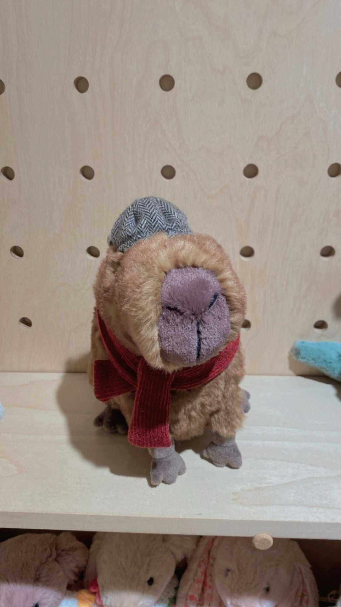 Jellycat Clyde Capybara Hipster Outfit