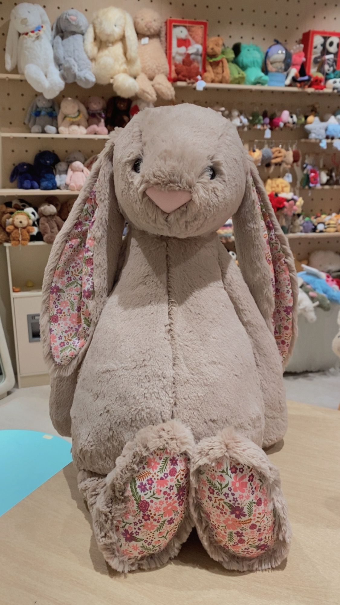 Jellycat Blossom Beige Bunny 'Petal' 18cm/31cm/51cm