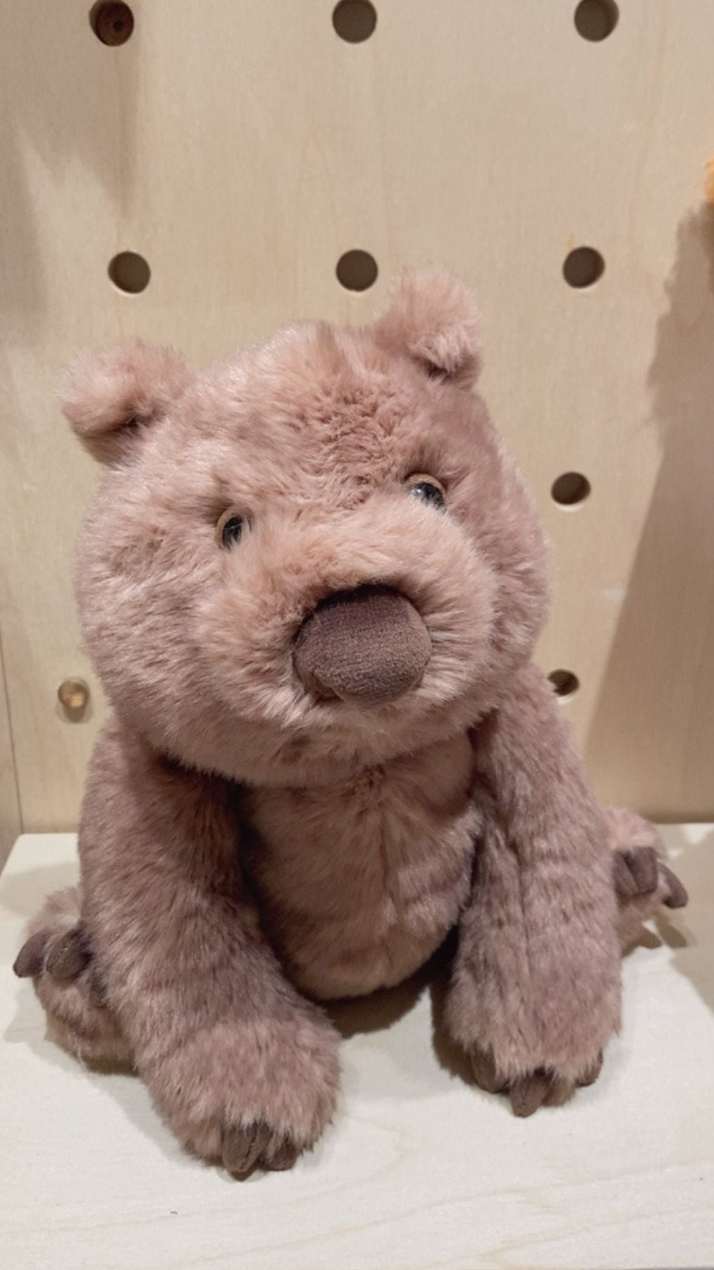 Jellycat Wonda Wombat