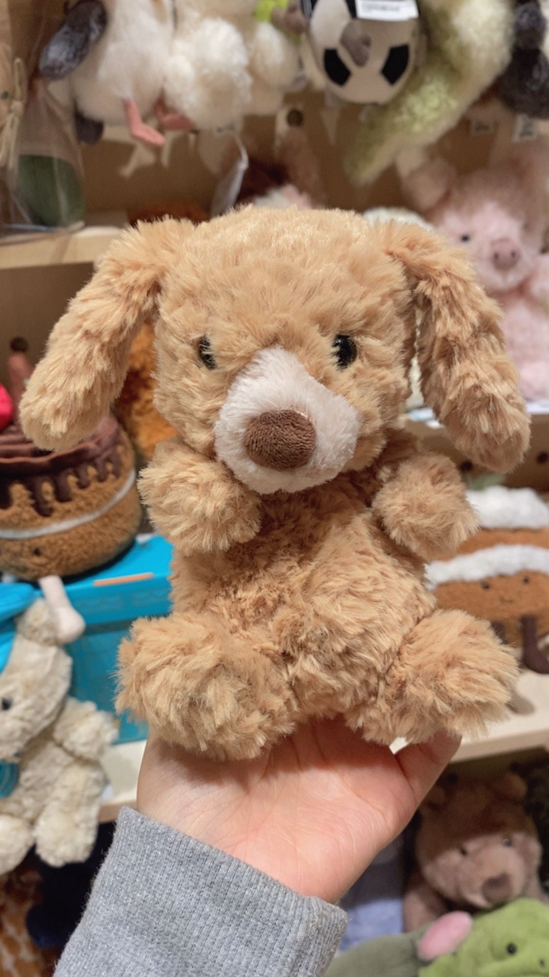 Jellycat Yummy puppy