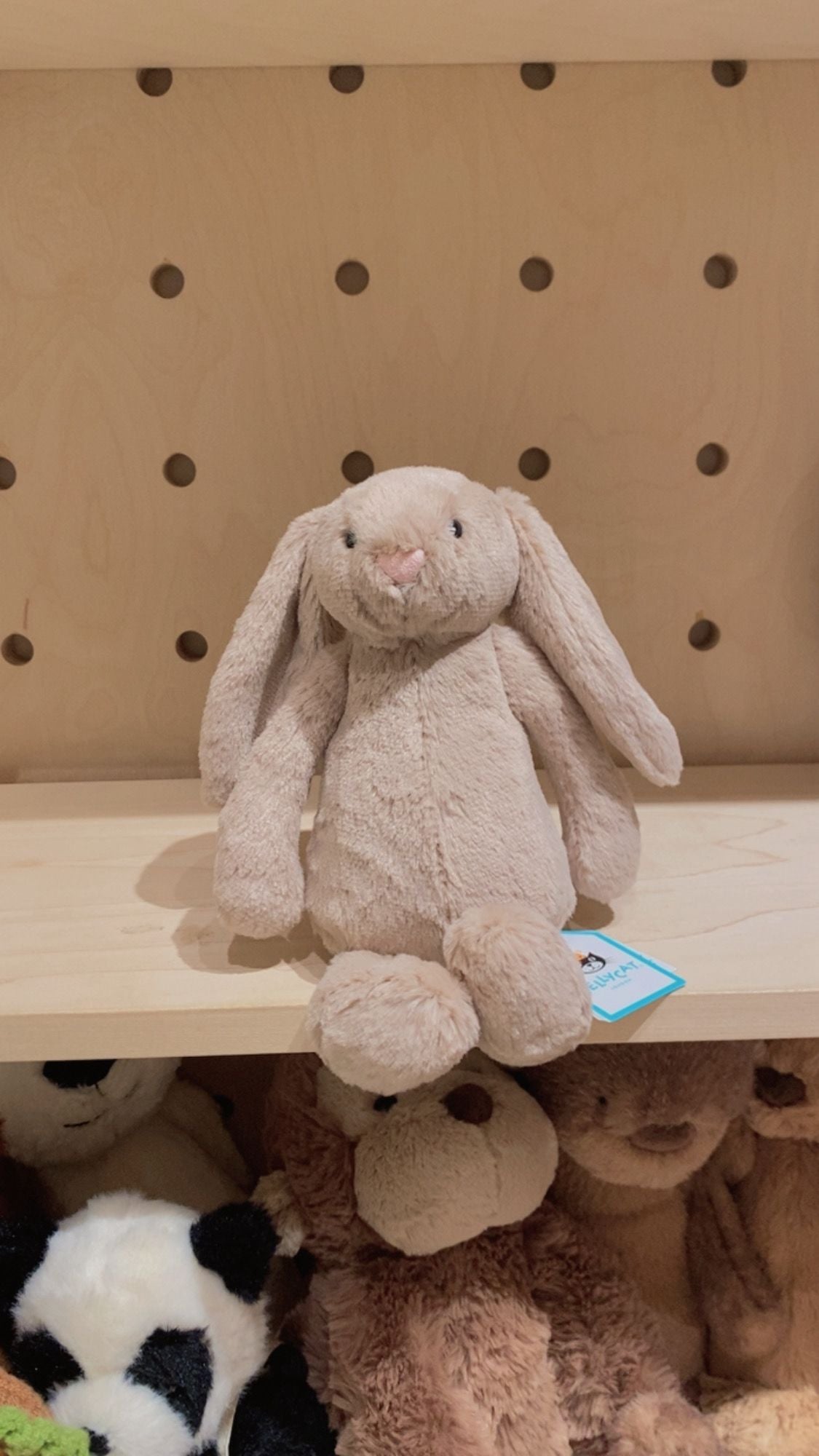 Jellycat Bashful Beige Bunny 18cm/ 31cm
