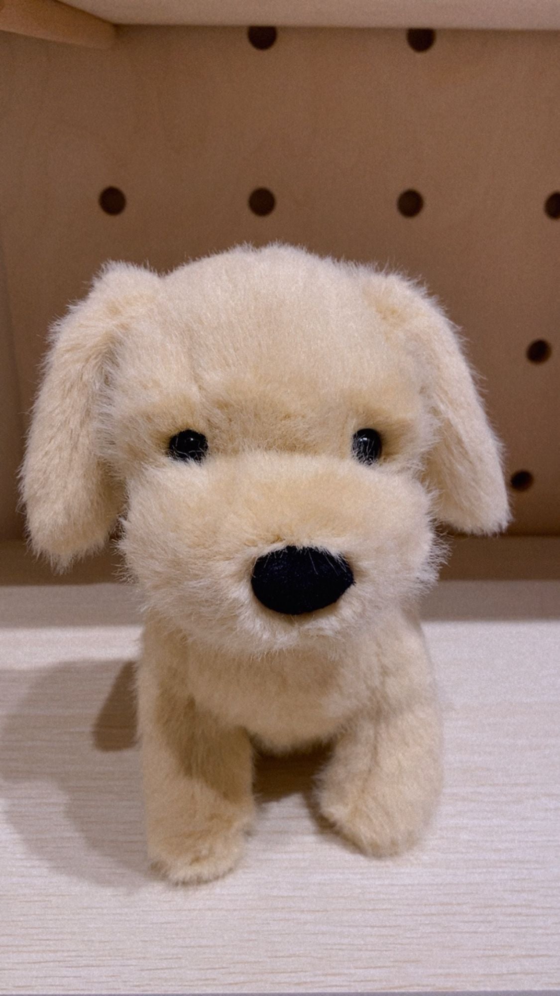 Jellycat Golden Puppy